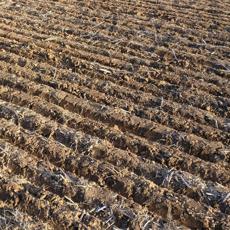 Furrows > A Thin Veneer